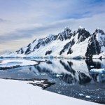 Szukali statku na Antarktydzie. Pod lodem odkryli tysiące jaj