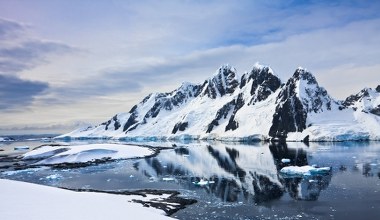 Szukali statku na Antarktydzie. Pod lodem odkryli tysiące jaj