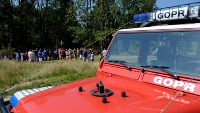 Szukali zaginionego, zaatakował ich niedźwiedź