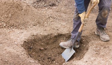 Szukali zguby, przypadkiem znaleźli skarb. W ogrodzie pod drzewem przeleżał 1200 lat