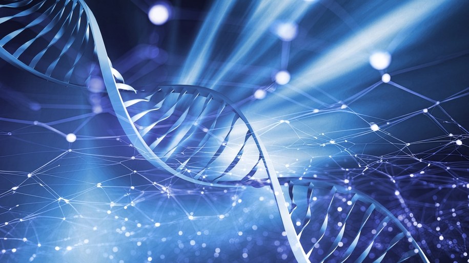 Szukanie przodków za pomocą badań DNA. Jakie cechy dziedziczymy po naszych bliskich? /Shutterstock
