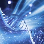 Szukanie przodków za pomocą badań DNA. Jakie cechy dziedziczymy po naszych bliskich?