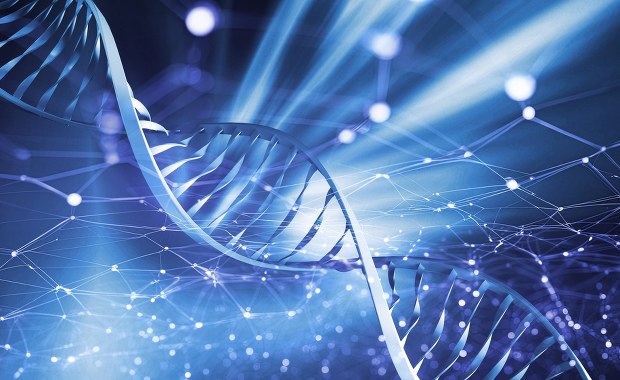 Szukanie przodków za pomocą badań DNA. Jakie cechy dziedziczymy po naszych bliskich?