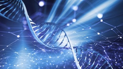 Szukanie przodków za pomocą badań DNA. Jakie cechy dziedziczymy po naszych bliskich?