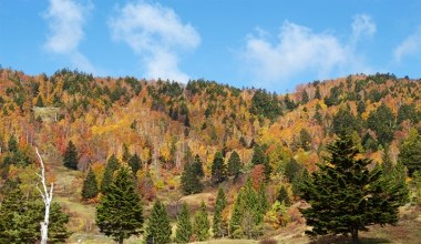 Szukasz pomysłu na weekendowy wypad? Tu zobaczysz wszystkie kolory jesieni 