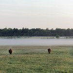 ​Szukasz spokojnego miejsca na listopadowy wypad? Musisz odwiedzić to miejsce w Polsce