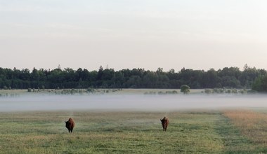 ​Szukasz spokojnego miejsca na listopadowy wypad? Musisz odwiedzić to miejsce w Polsce