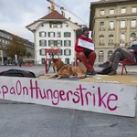 Szwajcaria: Ojciec wymusił strajkiem głodowym parlamentarną sesję na temat zmiany klimatu