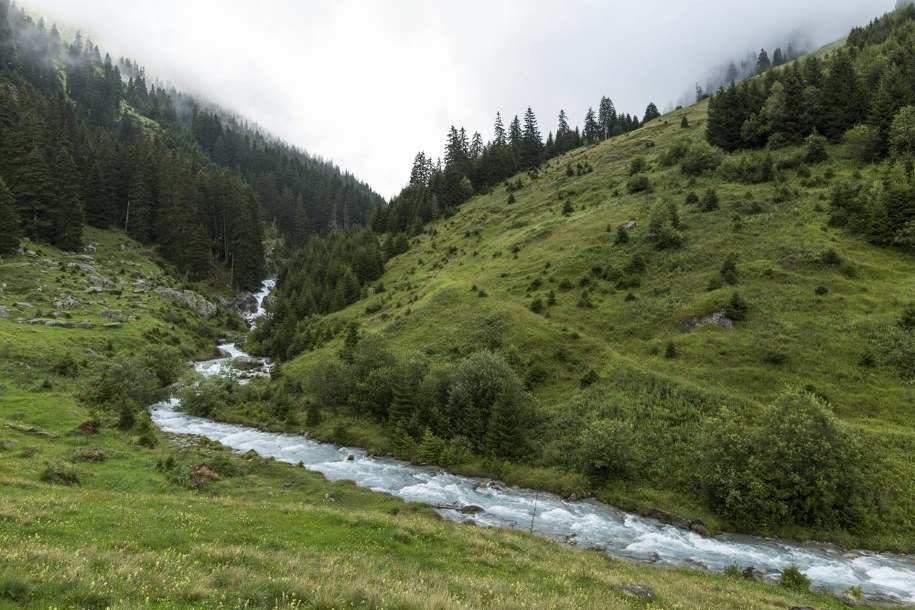 Szwajcaria /GAETAN BALLY    /PAP/EPA