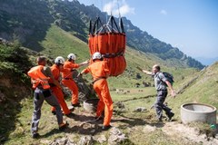 Szwajcarska armia ruszyła na ratunek spragnionym krowom