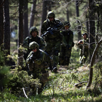 Szwecja: Pomysł utworzenia armii nordyckiej z Norwegią i Finlandią