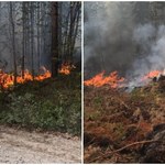 Szwecja w ogniu! Służby ostrzegają: Ryzyko pożarów na ekstremalnie wysokim poziomie