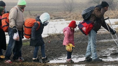 Szwecja wydali imigrantów. Mowa nawet o 80 tysiącach
