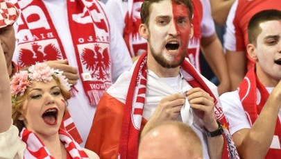 Szwedzi zazdroszczą nam kibiców. "Nasi są zbyt grzeczni, siedzą potulnie"