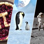 Szybki QUIZ prawda czy fałsz. 8/10 to już powód do dumy