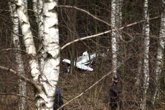 Szybowiec runął na drzewa; zginął pilot