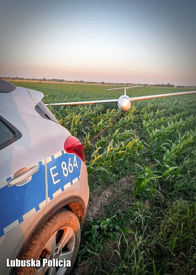 Szybowiec w polu kukurydzy /Policja Lubuska /Policja