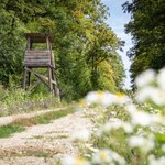 Szykowali się na polowanie. Przypadkowy wystrzał zabił 29-latka