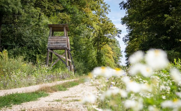 Szykowali się na polowanie. Przypadkowy wystrzał zabił 29-latka