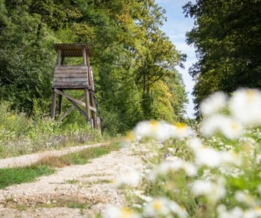 Szykowali się na polowanie. Przypadkowy wystrzał zabił 29-latka