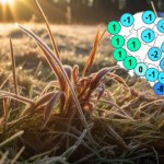 Szykuj się na mróz. Zbliżają się temperatury dochodzące nawet do minus ośmiu stopni w nocy 