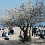 Sopot Szykują się na najazd Polaków w Wielkanoc. "Przetarcie przed majówką"