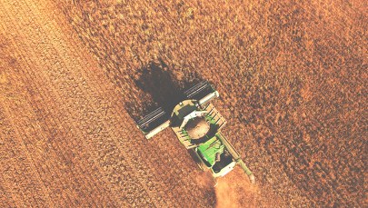 Szykują się rekordowe żniwa i w Polsce, i na Ukrainie 