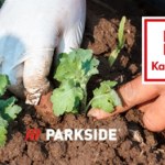 Szykujesz rozsadę? Parkside z ofertą dla ogrodników taniej do soboty