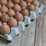 Szymański: Badamy informacje o zakażonych salmonellą jajach z Polski
