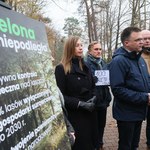 Szymon Hołownia proponuje gruntowne zmiany dotyczące polskich lasów