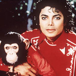 Szympans nie pożegna Jacksona