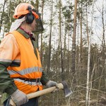 Szyszko: Lasy Państwowe mogą tworzyć miejsca pracy