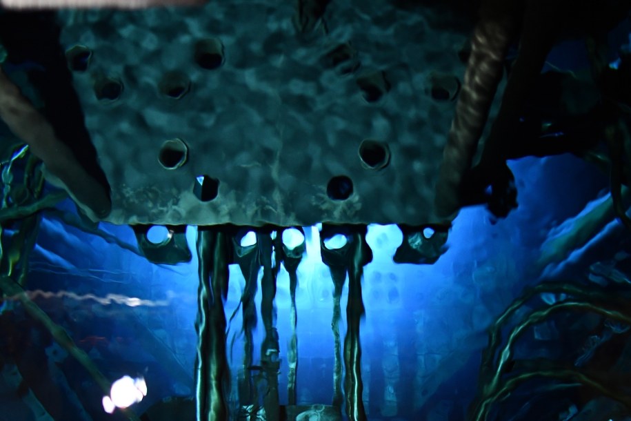 Ta błękitna poświata to właśnie jeden ze skutków pracy reaktora atomowego /Paweł Balinowski /RMF FM