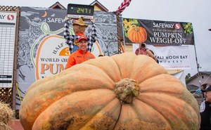 Ta dynia waży tyle, co dwa niedźwiedzie. A wy gotowi na Halloween?