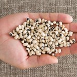 Ta fasola jest inna niż wszystkie. Pobudza jelita do pracy, dba o serce i mięśnie