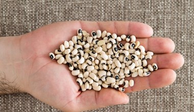 Ta fasola jest inna niż wszystkie. Pobudza jelita do pracy, dba o serce i mięśnie