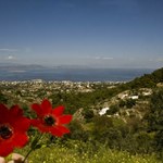 Ta grecka wyspa jest lepsza od Santorini. Nie ma tam tłumów, a zabytki i plaże zapierają dech