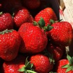 Ta odmiana jest słodsza i bardziej soczysta. Polski owoc drugi w światowym rankingu