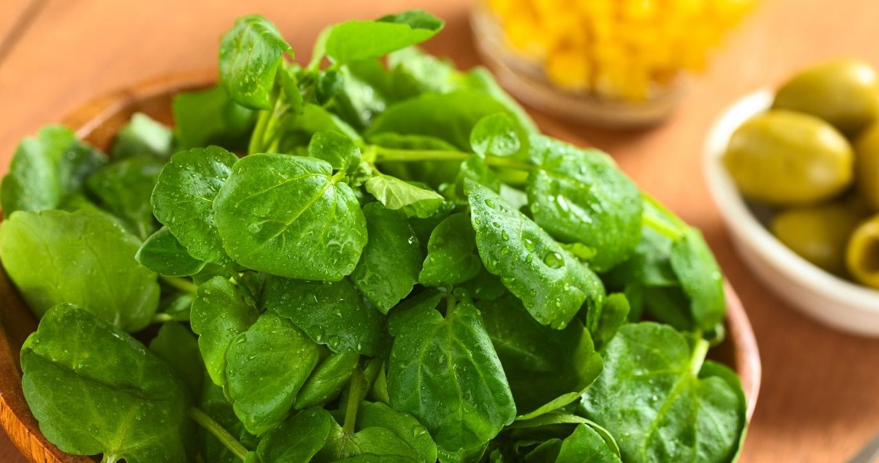 Ta roślina jest uważana za najzdrowsze warzywo na świecie. /ildipapp /Canva Pro