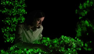 Ta roślina świeci w ciemności. Do tego pięknie kwitnie i jest łatwa w uprawie