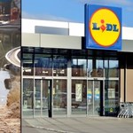 Ta sukienka to hit lata! Lidl oferuje ją w promocji za 35 zł. Podobna w H&M, Reserved i Zara