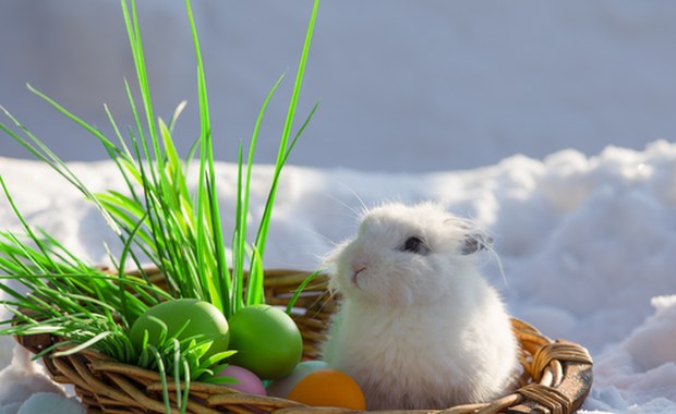 Ta świąteczna prognoza pogody Cię nie ucieszy