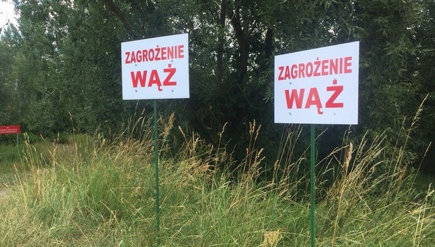Tabliczki, które stoją w okolicach, gdzie prowadzona jest akcja poszukiwawcza /Karol Pawłowicki /RMF FM