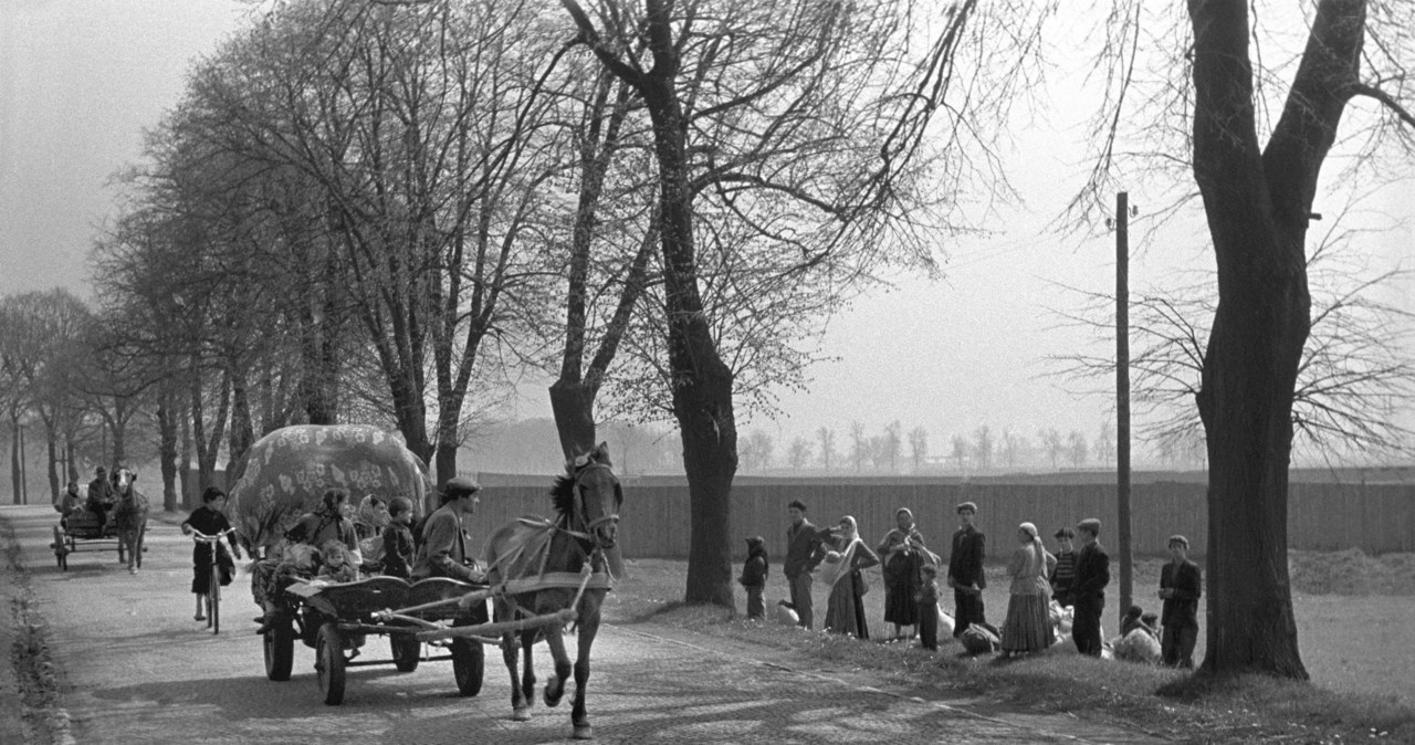 Tabor cygański w okolicach Nysy (maj 1957 r.) /Wojciech Plewiński /Agencja FORUM