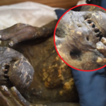 Tajemnica 300-letniej mumii syreny. Skąd się wzięła w klasztorze?