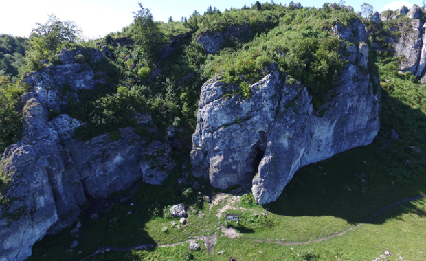 Tajemnica jaskini Stajnia. Co pokazały wyniki badań DNA "polskich" neandertalczyków?