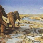 Tajemnica katastrofy sprzed 13 tys. lat rozwiązana?