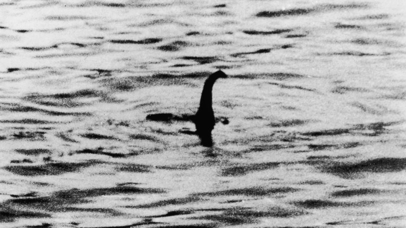 Tajemnica potwora z Loch Ness zostanie rozwiązana. „Wykryjemy go po śladach DNA” /Geekweek