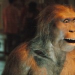 ewolucja Tajemnica Stopy Burtele wyjaśniona. Ewolucja człowieka jest bardziej złożona, niż sądzono