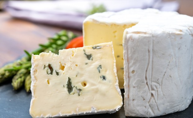 Tajemnica zdrowych serków pleśniowych rozwiązana